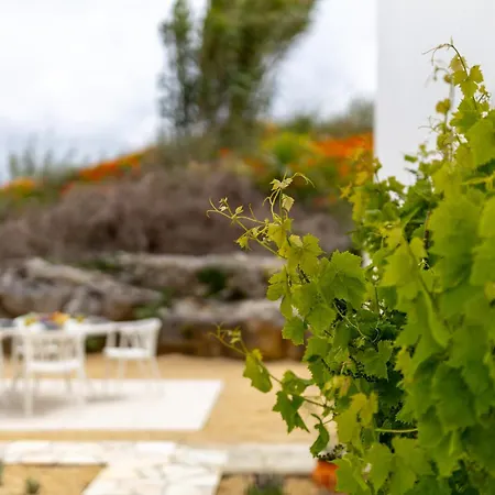 Casa Jasmin - Peaceful Retreat On Silver Coast Reguengo Grande